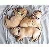 Product Photo 7