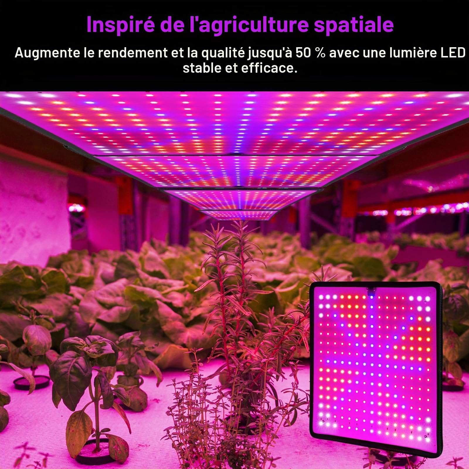 Lampe de culture LED à spectre complet, 225 LEDs, lampe de culture suspendue avec 4 crochets, lampe de croissance pour plantes, légumes, fleurs, 1000W, lumière LED pour plantes[Classe énergétique C]