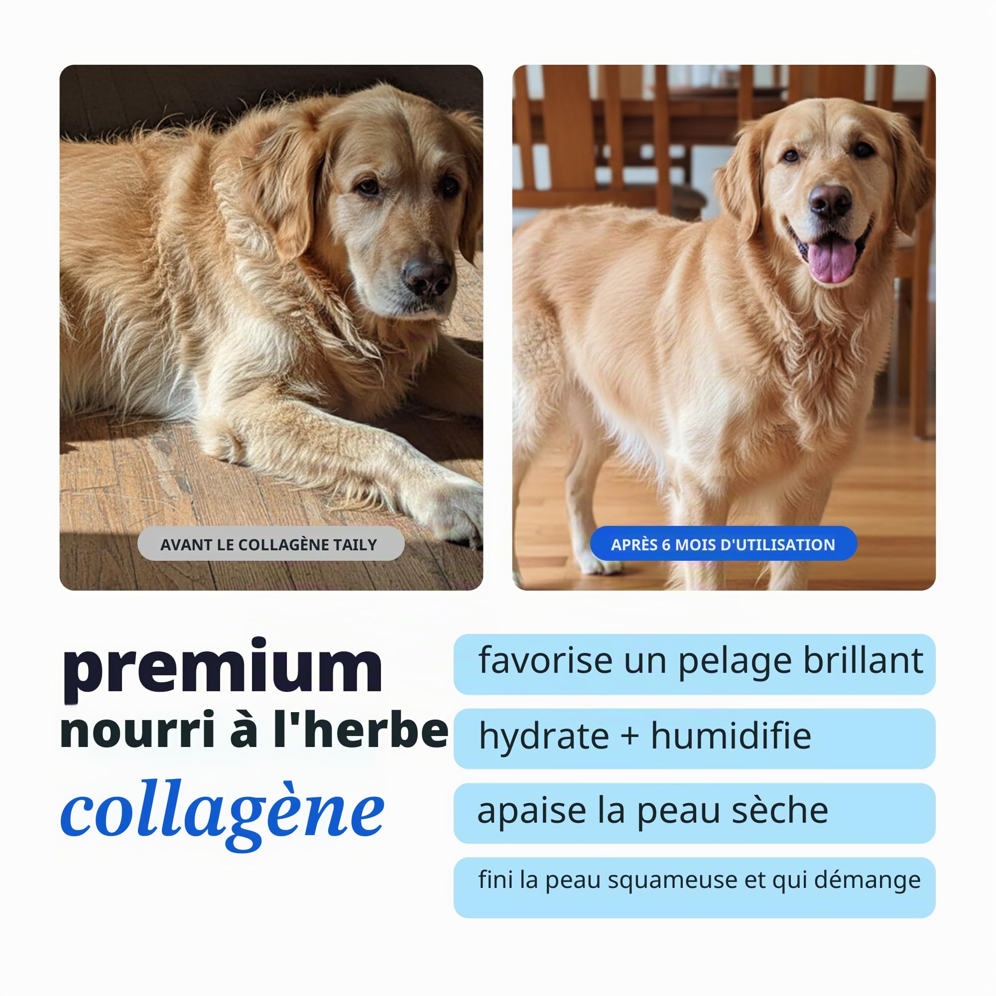 Complément alimentaire pour la peau et le pelage pour chiens, chats | Collagène liquide Taily pour chiens | Soulage les démangeaisons pour chiens allergiques, avec collagène nourri à l'herbe, biotine