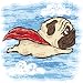 Super Pug!