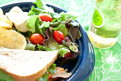 Miniatura 4 de Preserve Everyday - Juego de 4 platos de vajilla, color azul medianoche