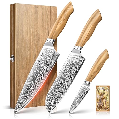 Emojoy Damascus Kitchen Knife Set 3 PCS