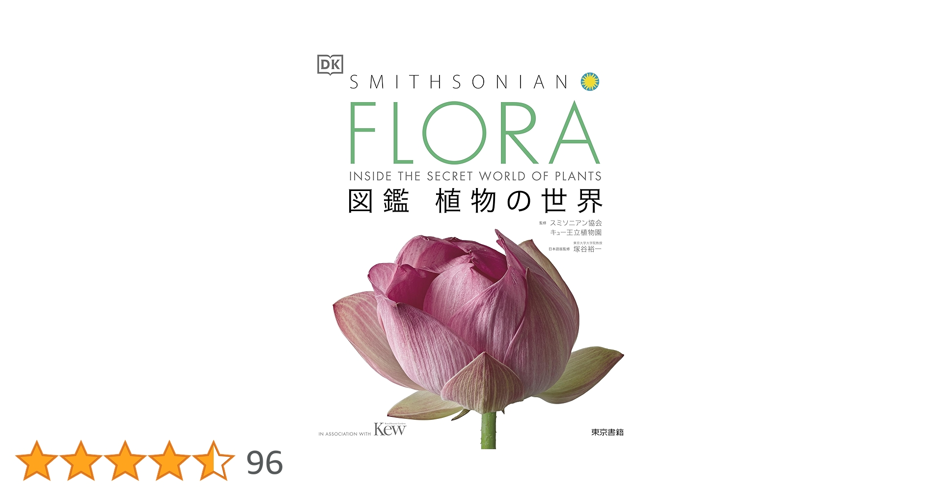 81F22LVi2kL.jpg_BO30,255,255,