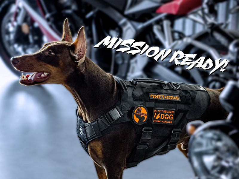 Amazon.com : OneTigris X-Armor Tactical Dog Harness MOLLE Vest