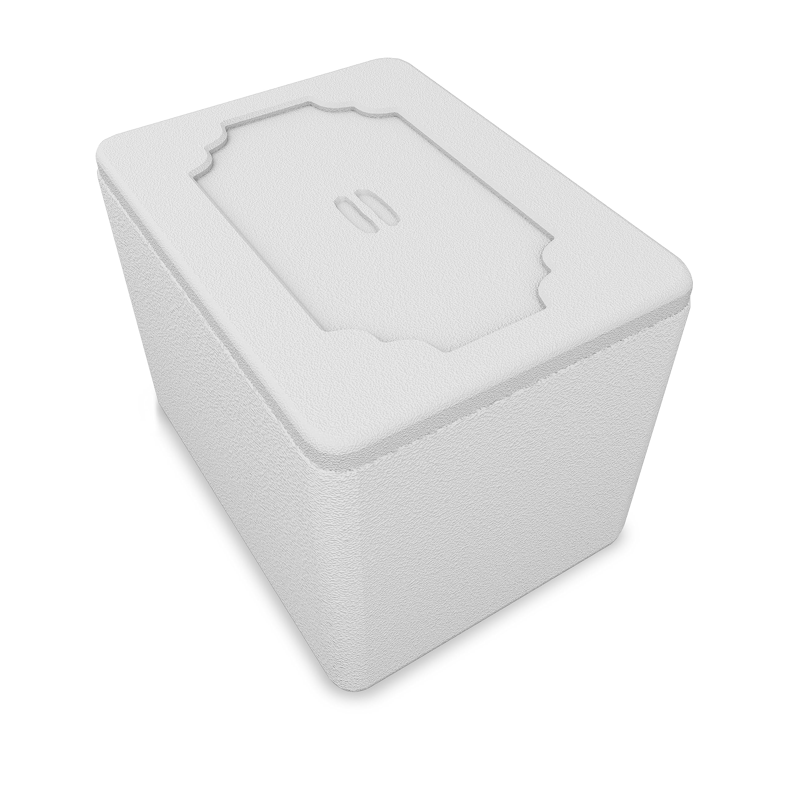 Buy CHILLZER thermocol Chiller ice Box for Car Travel Party Bar Ice