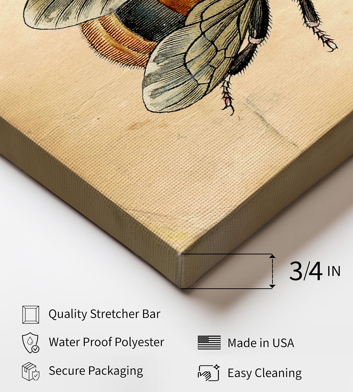Poster Master Bee Canvas - Retro Bumblebee Print - Entomology Art - Insect Art - Gift for Men, Women & Animal Lover - Minimal Decor for Living Room, Bedroom or Office - 8x10 STRETCHED Canvas