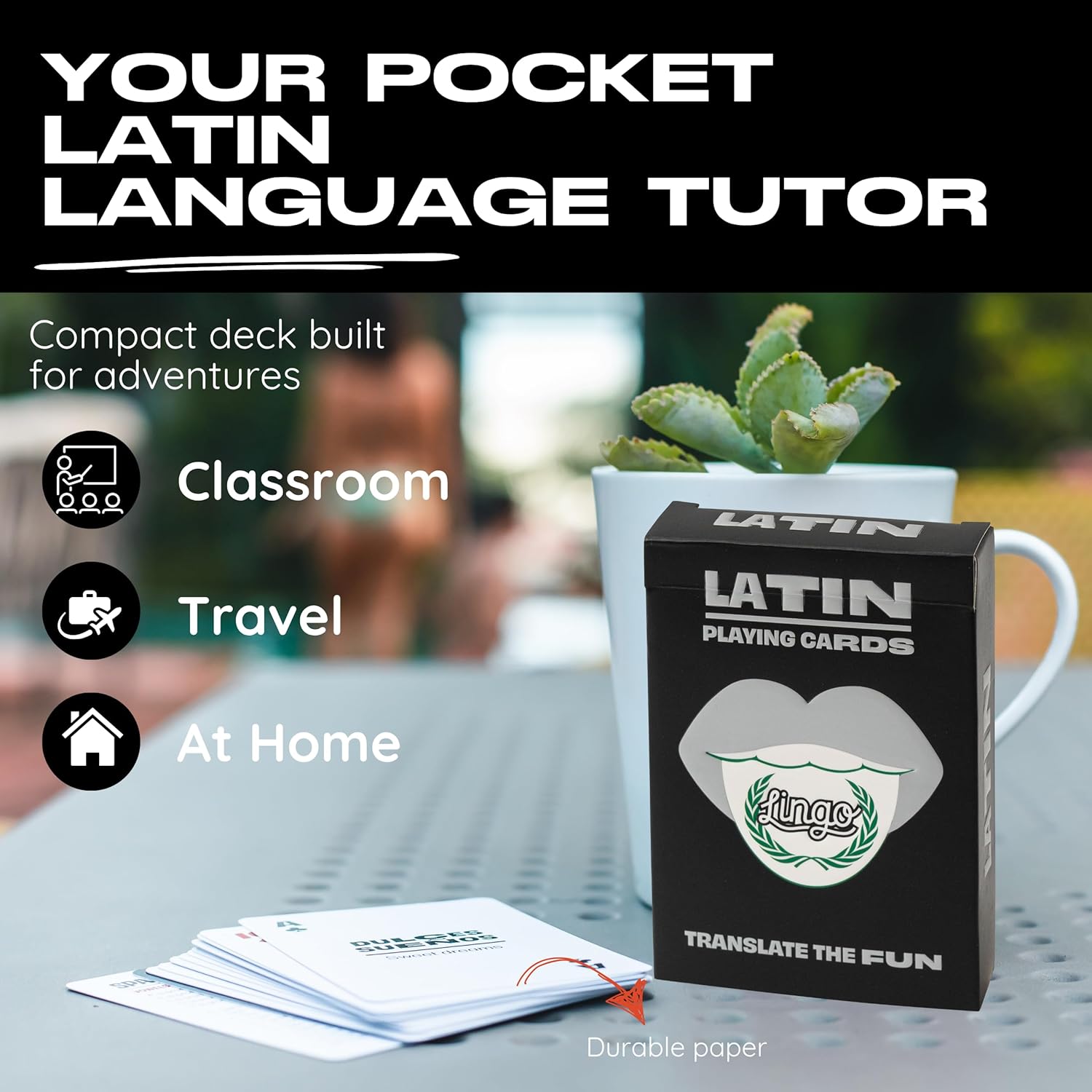 Latin Lingo Playing Cards | Travel Flashcards | Learn Latin Vocabulary in A Fun & Easy Way | 52 Essential Translations - Image 3