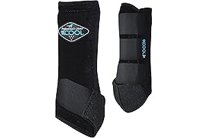 Protect Choice for Horse Boots