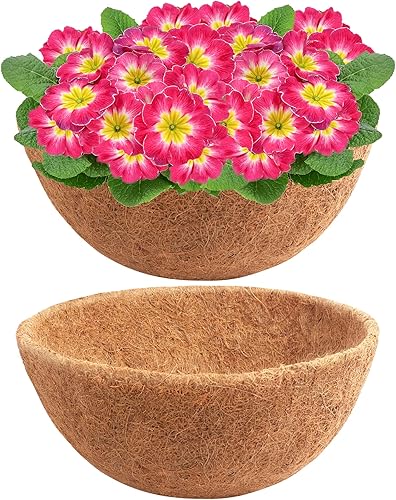 Vista 11 de Y&M Juego de 2 cestas colgantes de fibra de coco preformadas de 16 pulgadas, forro de repuesto de coco, 2 piezas