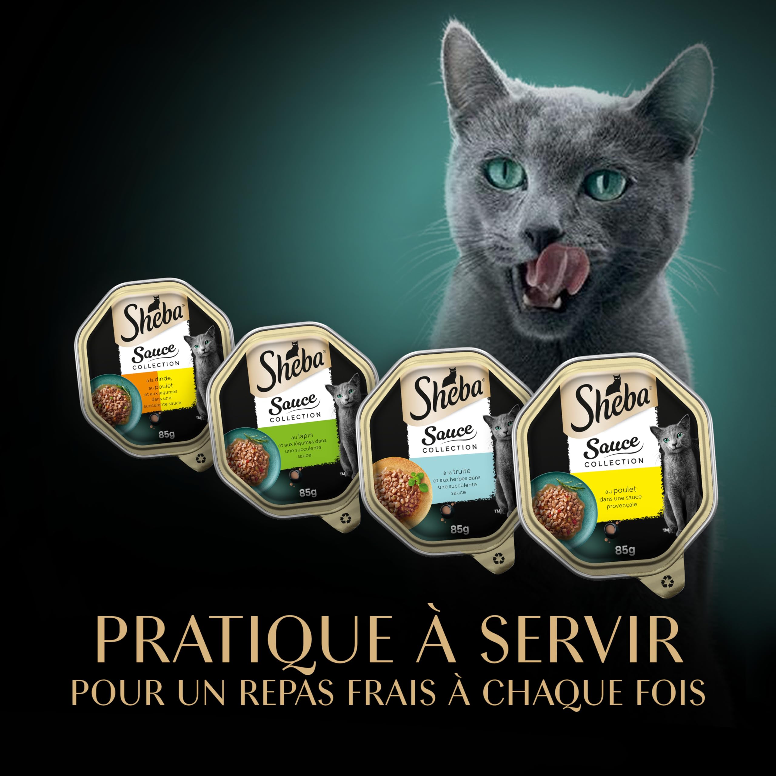Sheba Sauce Collection Barquettes Nourriture Humide pour Chat Adulte Sélection Mixte 4 variétés 12x85g