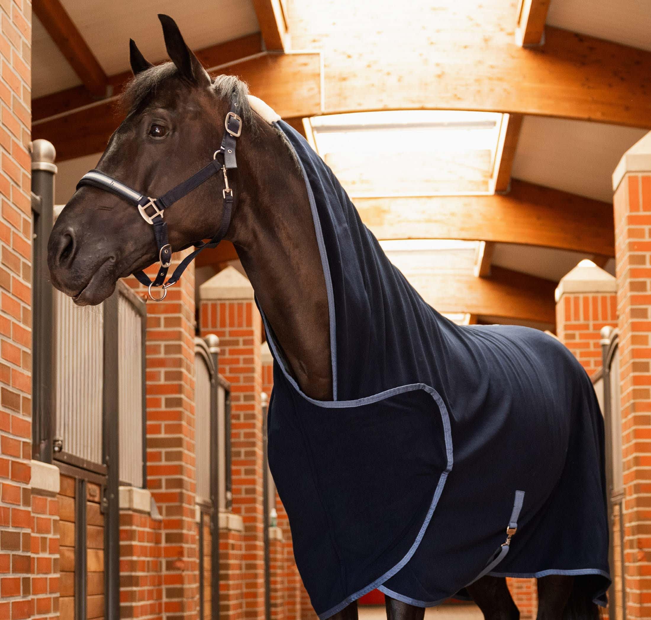 Horze Coperta in pile traspirante Eternal Gaze per cavalli, Blu, 145