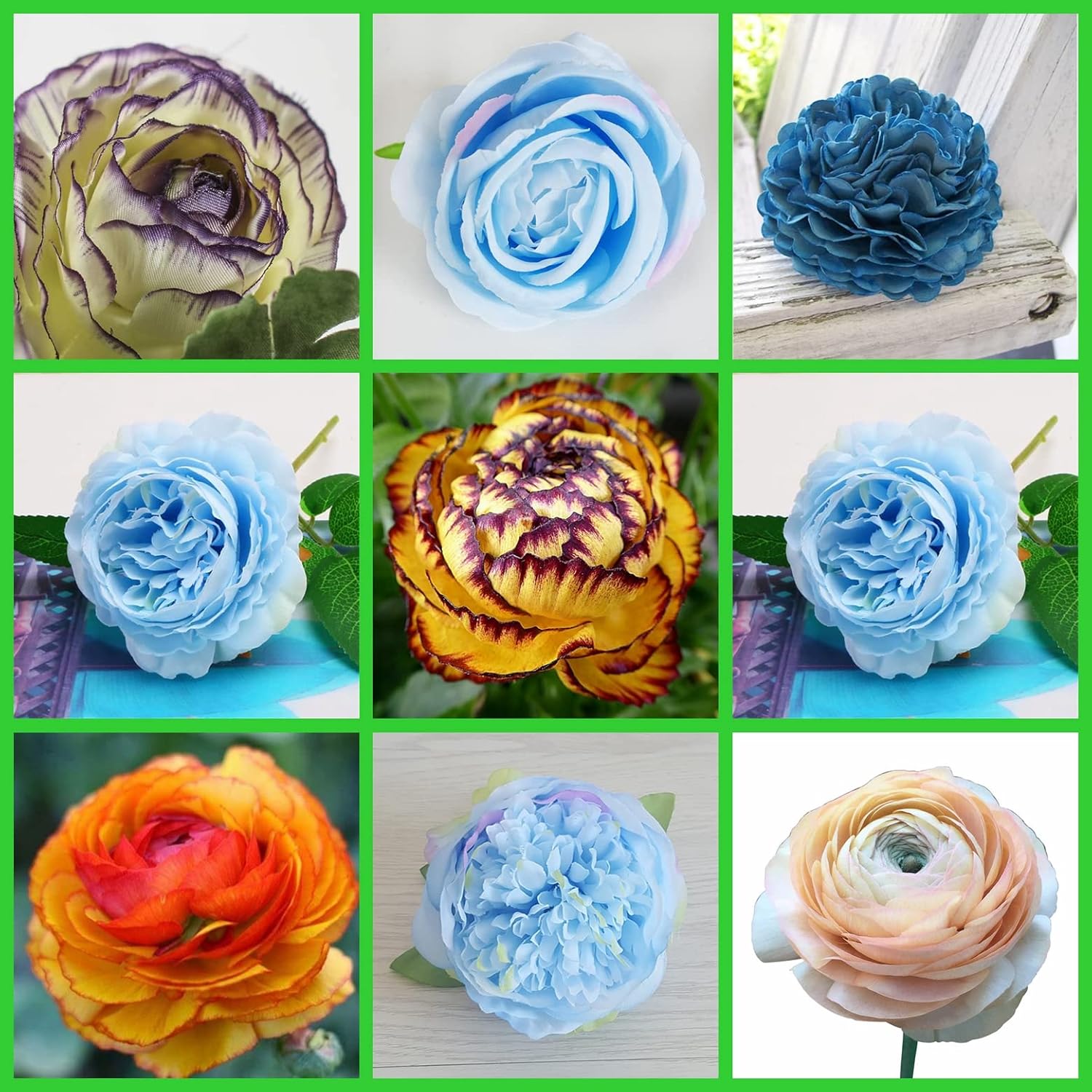 Rosen Zwiebeln Winterhart - Kletterrosen Mehrjährig Für Garten