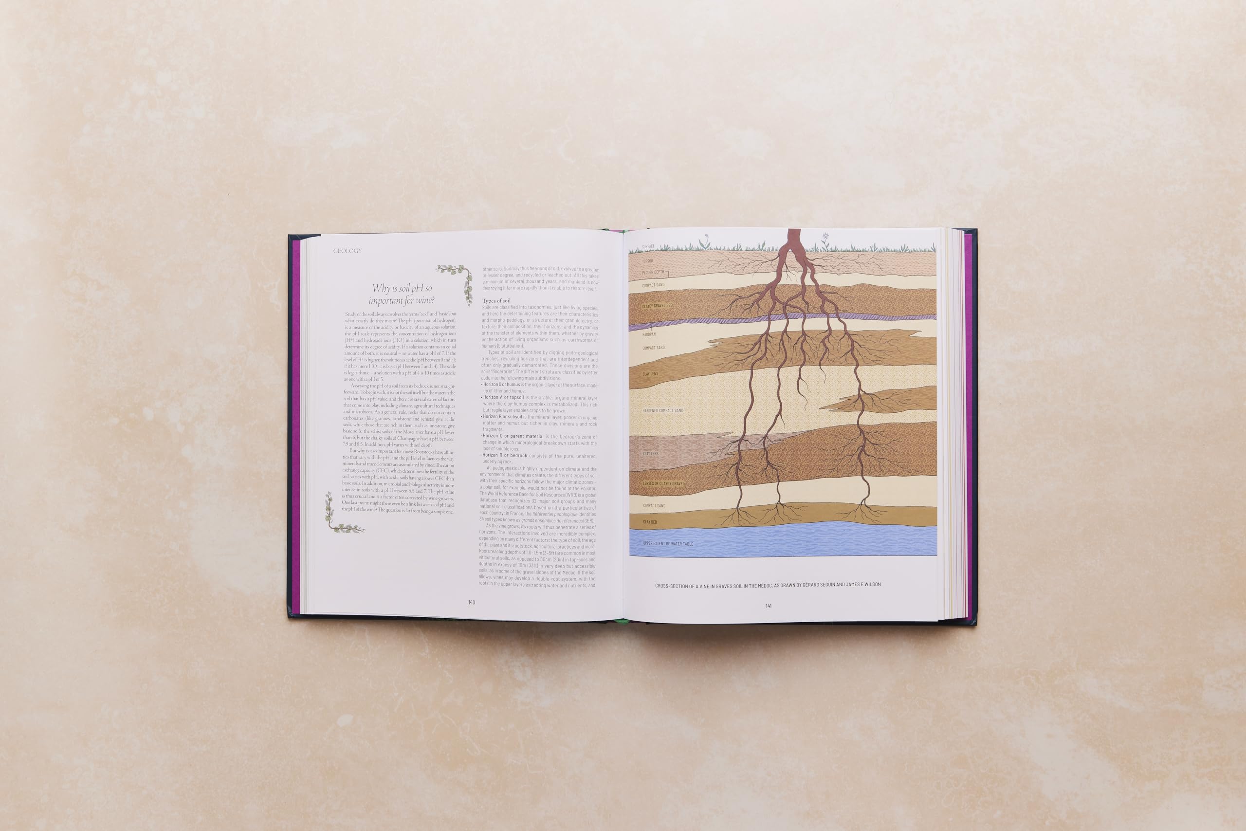 One Thousand Vines: A New Way to Understand Wine