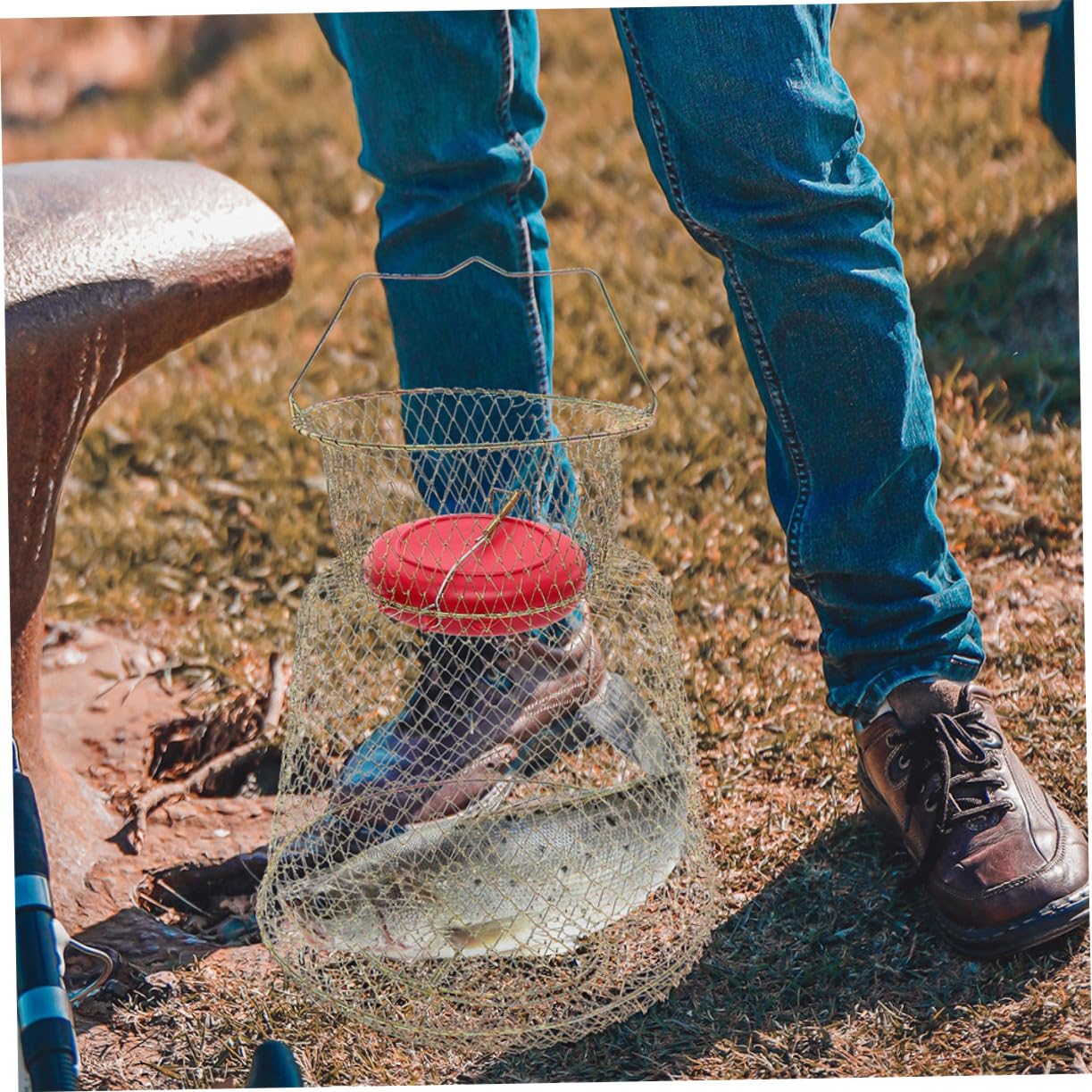 Kisangel Panier à Poisson en Fer Panier à Crevettes pour La Pêche Filet De Pêche Panier à Poisson Flottant Pièges Panier à Poisson pour Poisson Pêché Panier à Poisson Pliable Le Fer