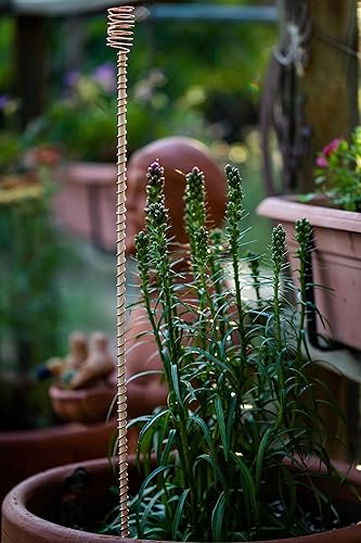 Miniatura 2 de Electroculture Grows - Juego de 5 estacas para plantas de electrocultivo de 24 pulgadas, madera natural envuelta con cobre sólido puro