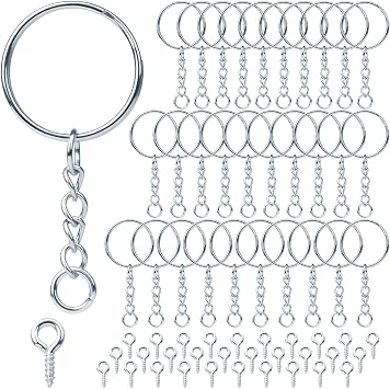 DKBT 170Pcs Keyring Keychain 85pcs Key Ring Hoop with 85pcs Eyelet Screws