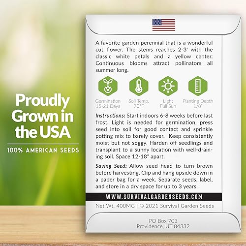 Miniatura 2 de Shasta - Semilla de margarita para jardinería, 3 paquetes con instrucciones para plantar y cultivar hermosas flores perennes blancas en el jardín de