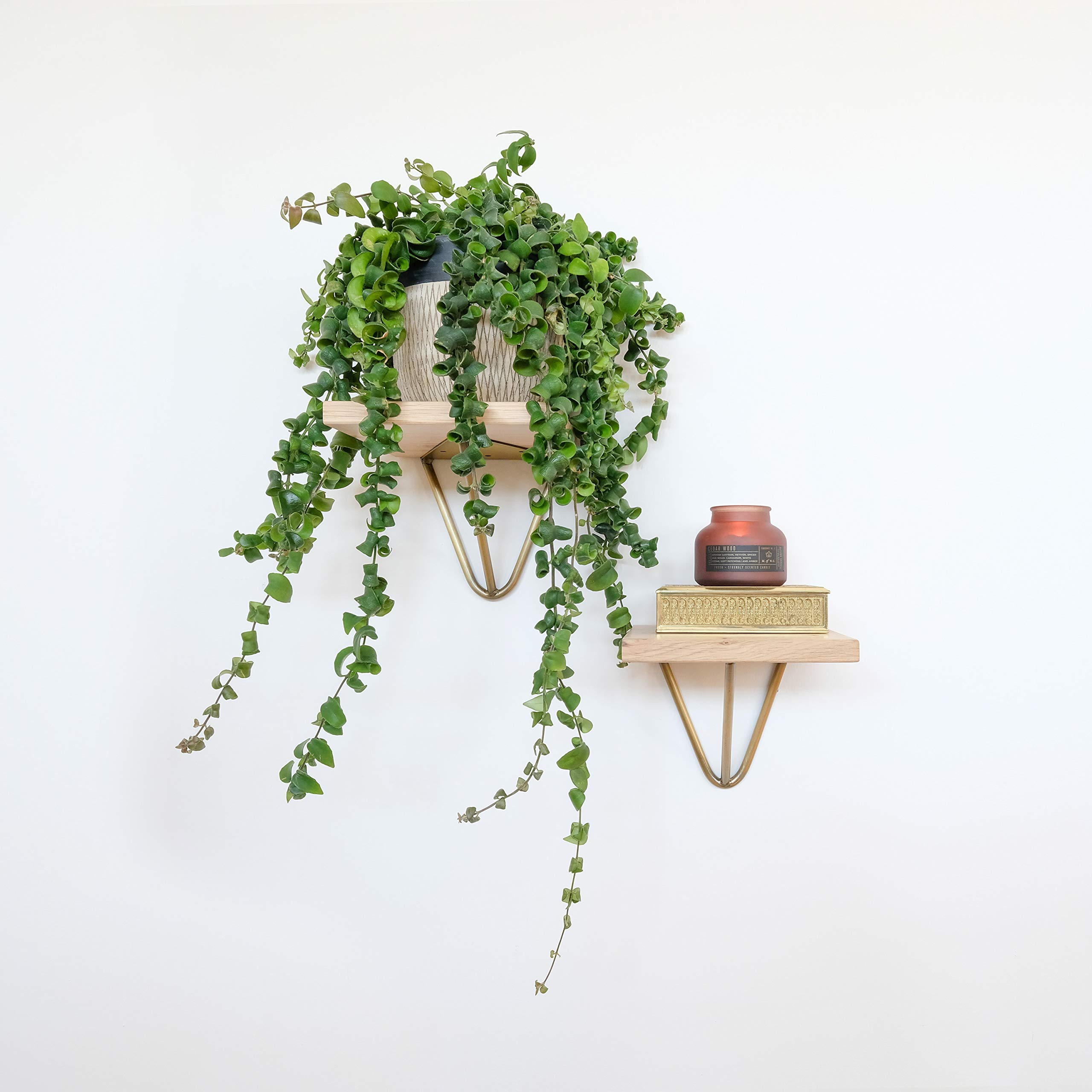 Natural Goods Berlin 2x | Regalhalter, Regalträger, Wandregal | Modell Fhain | viele Farben | (160mm, Antik Gold)
