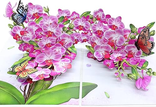 Miniatura 9 de Tarjetas de cumpleaños desplegables para mujeres y esposa, hermosas flores y mariposa monarca, elegante, floral 3D, tarjetas de felicitación de