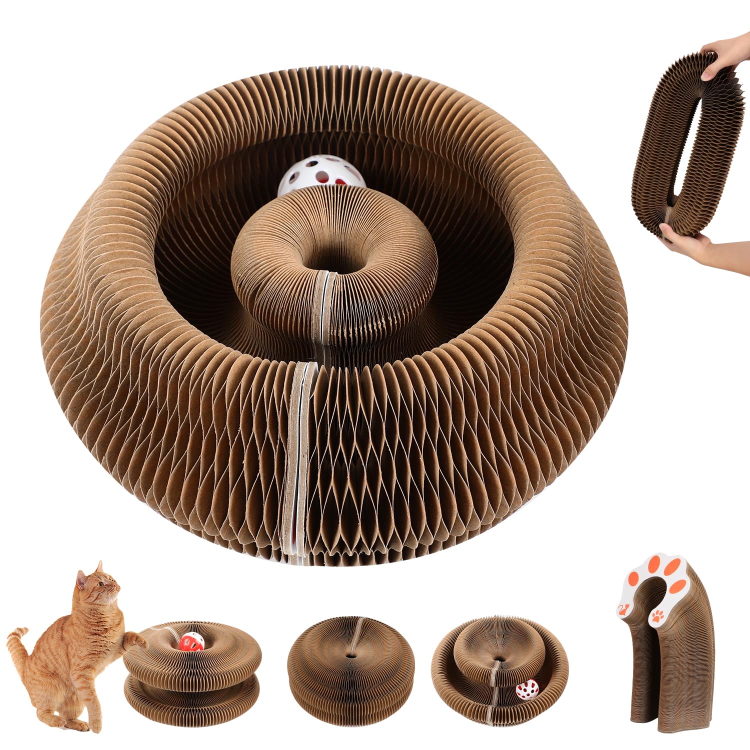 Amazon.com: Grenben Magic Organ Cat Scratching Board, Cat