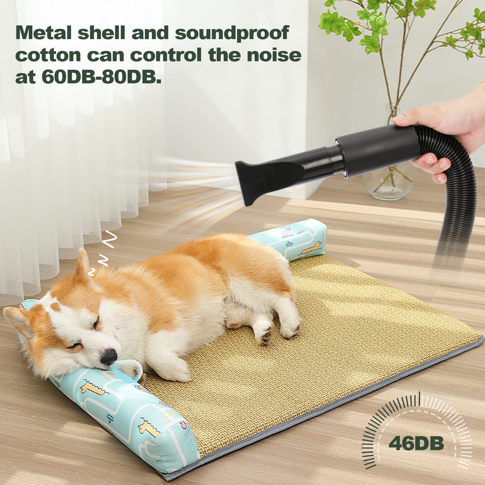 XKISS Soffiatore per Cani 3200W/4.5 PS, Asciugatore per Cani,Continua con velocità e Temperatura Regolabile Asciugacapelli per Animali Domestici, con 4 Ugelli Diversi (Verde)