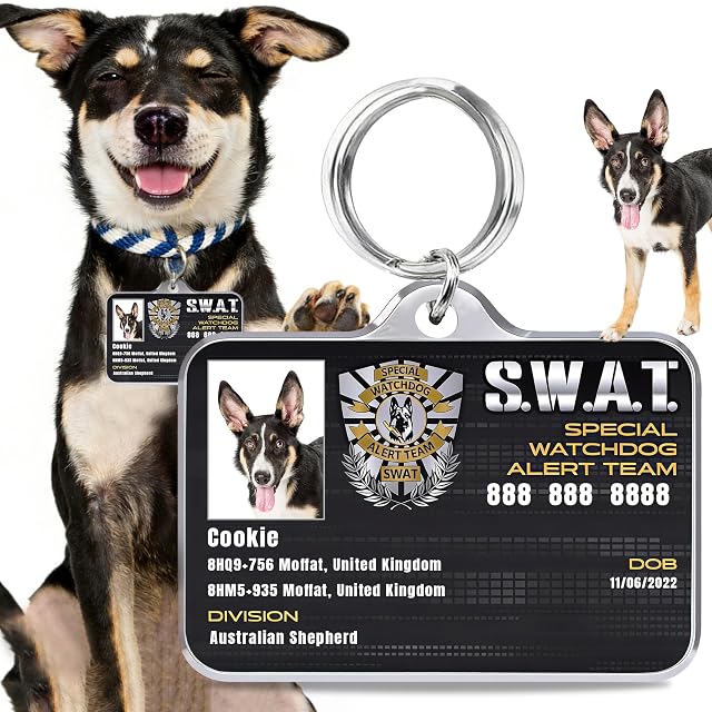 Foto 3 de 6 de Personalizada Etiquetas de Identificación para Mascotas