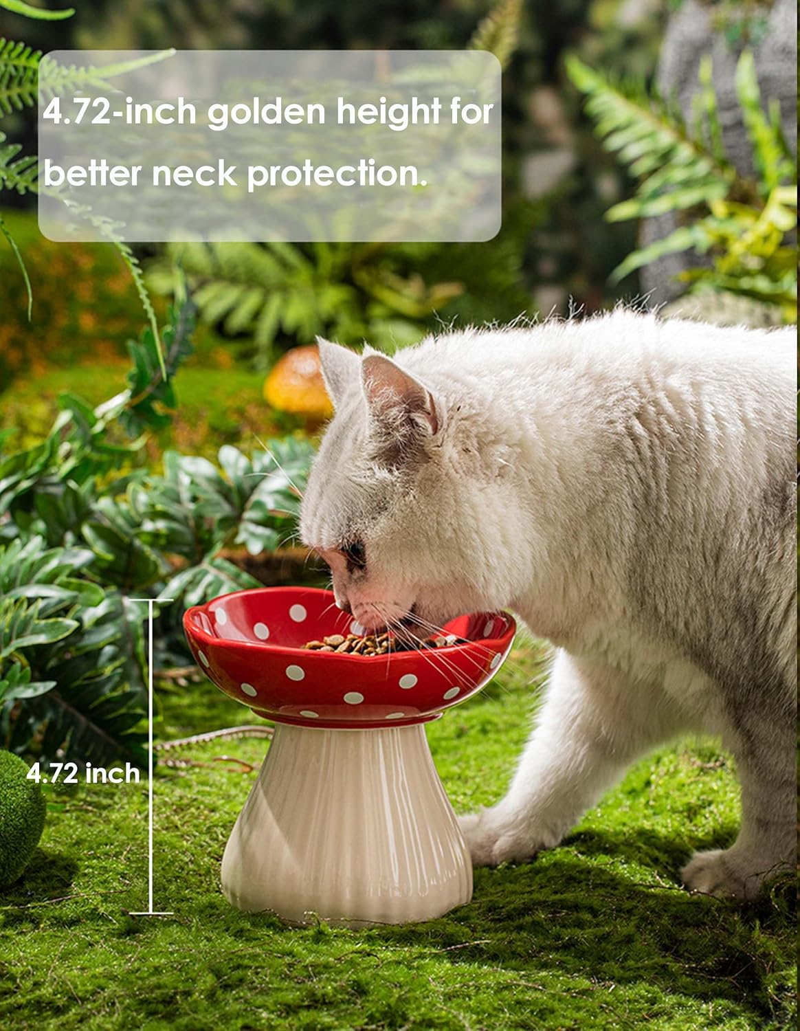 Mushroom Cat Bowl, Raised Ceramic Cat Food Dish for Whisker Fatigue, Forest Style Pet Water Bowl, Elevated Tilted Neck Protection Feeder for Indoor Cats & Small Dogs (Red & Black)