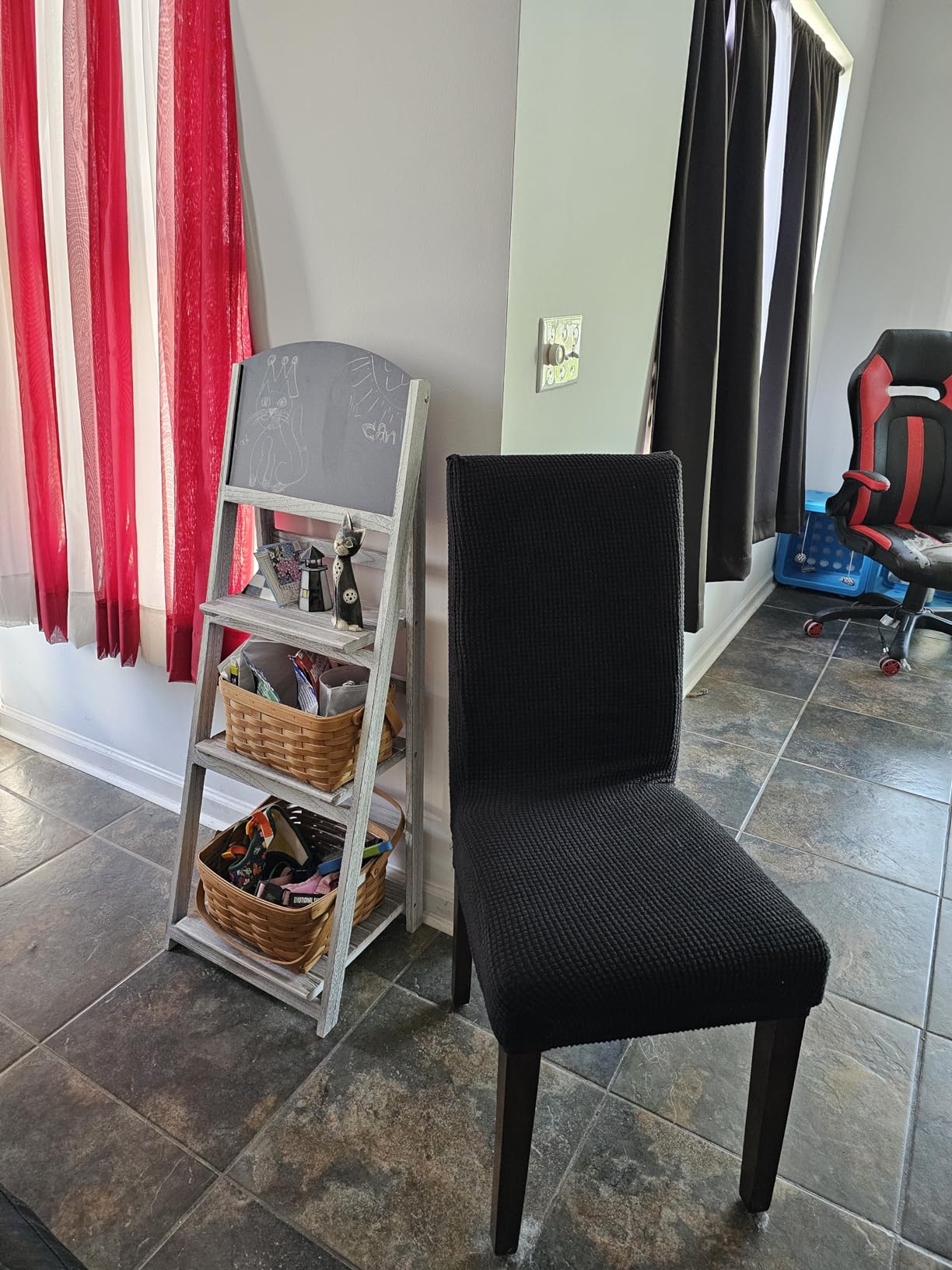 Cat approved immediately