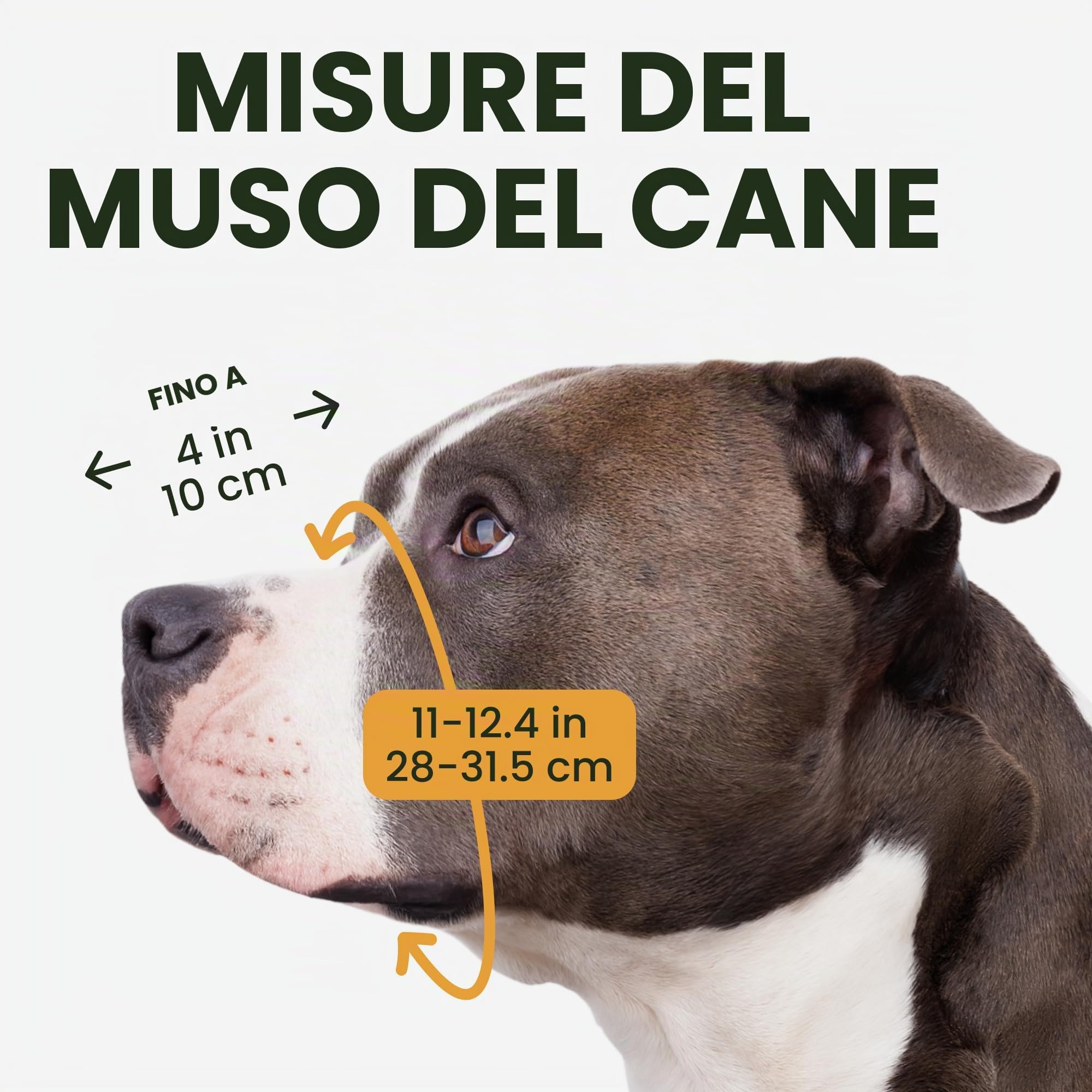 BronzeDog Amstaff - Museruola per cani con maschera metallica e cinghie regolabili in pelle per cani di taglia grande