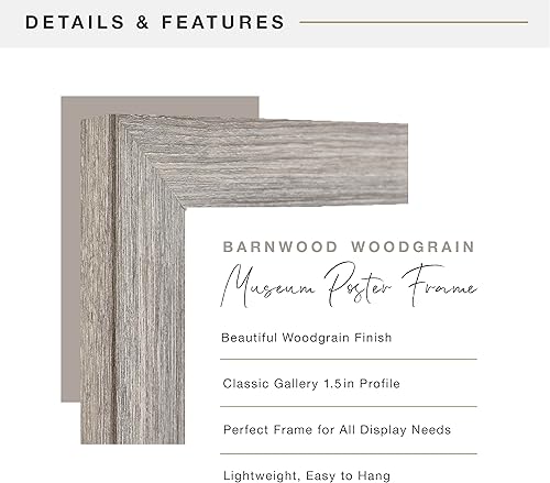 Miniatura 5 de MCS - Marco estilo museo para póster, madera de granero, 16 x 24 pulgadas, individual