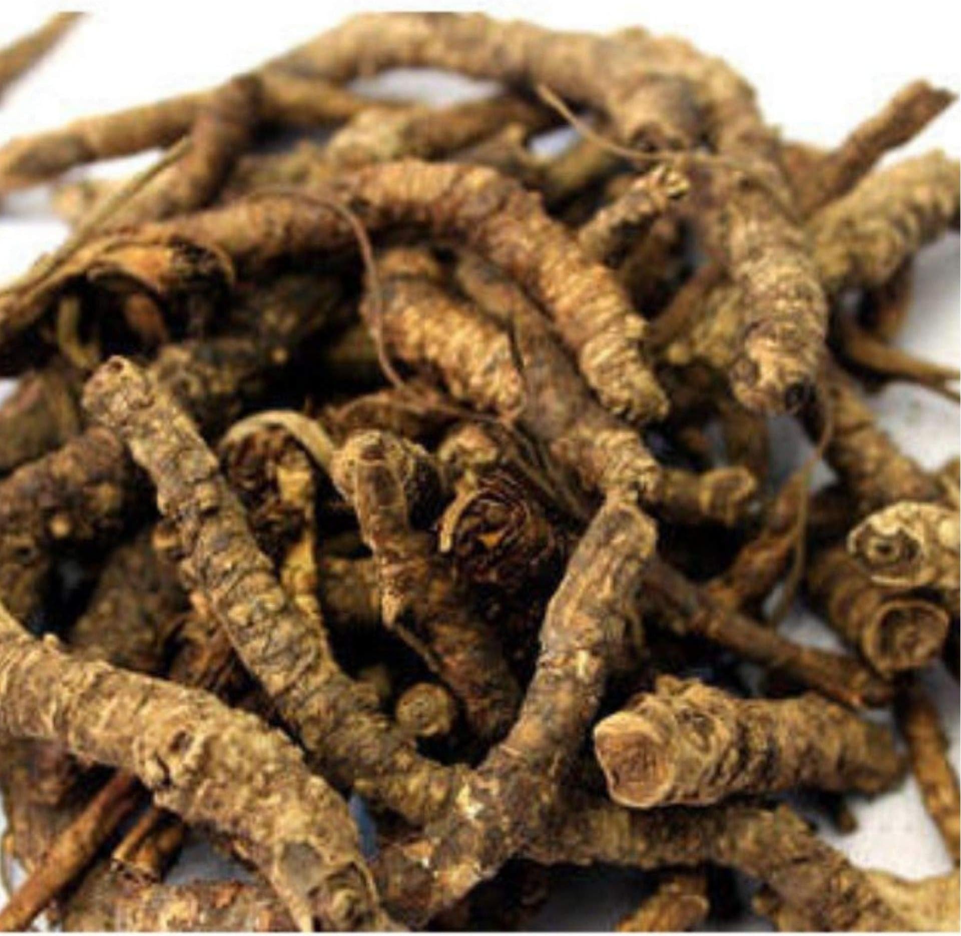 Divesh Store Kutki 100Grm - Picroriza Kurroa - Hellabore - Katukarogani Root - Kadu - Katuka - कडू - कुटकी