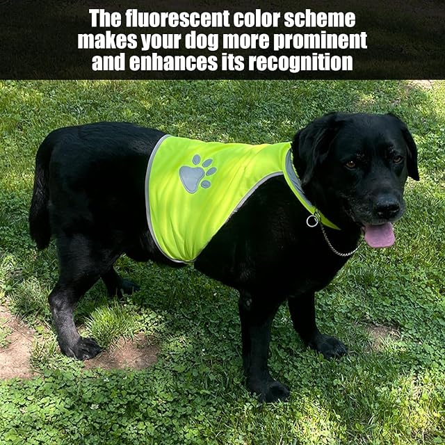 Foto 6 de 6 de FDGGT 1 Pieza De Ropa Reflectante para Mascotas, 1 Pieza De Bufanda Reflectante para Mascotas