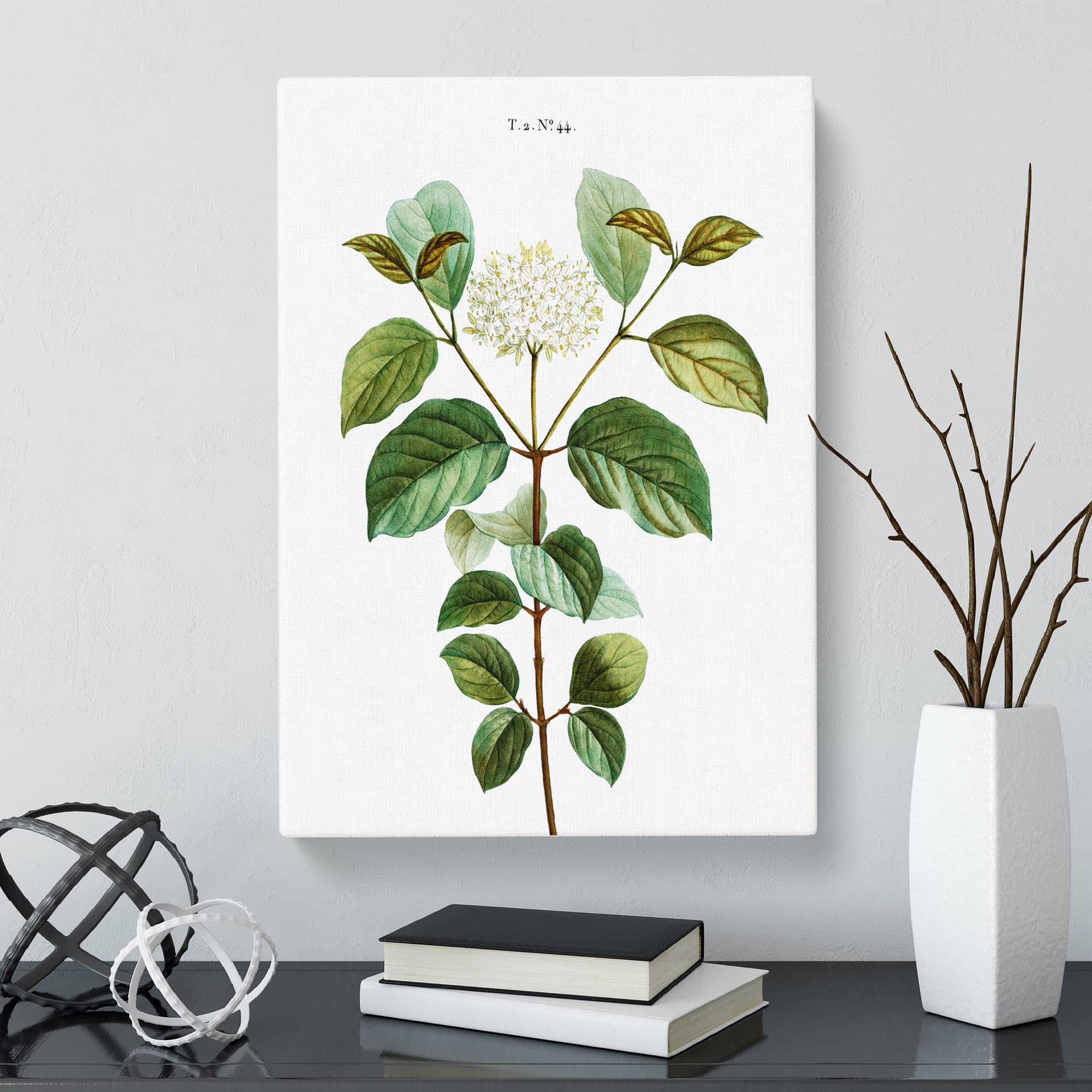 Dogwood Flowers By Pierre Joseph Redoute Canvas Print, Mixed, 25L x 50W cm - Image 3