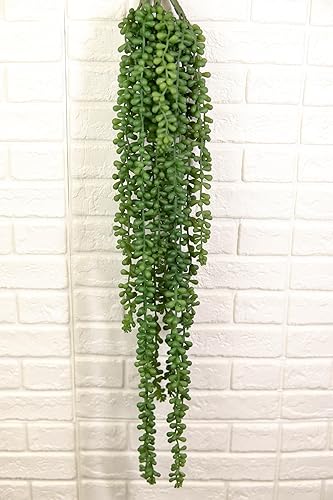 Miniatura 5 de Ebros Gift Paquete de 6 collares artificiales realistas y realistas para plantas suculentas de helecho, plantas botánicas, hogar, jardín, veranda,