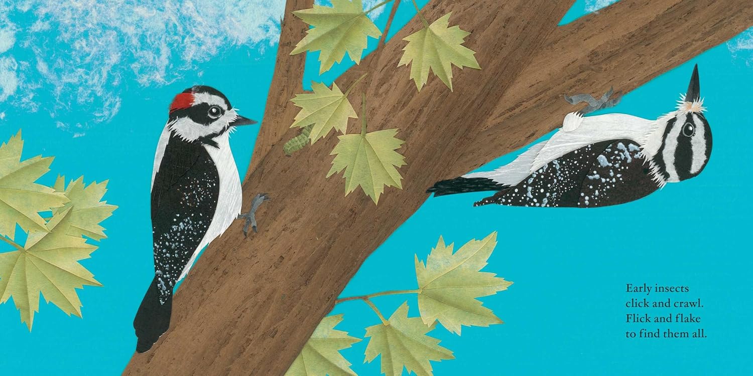 Woodpecker Wham!