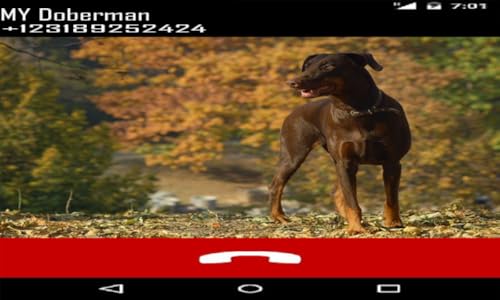 Doberman Fake Call Prank ( Funny Pet Calling Prank ) - Gag fake Prank Call from Doberman Pinscher Do