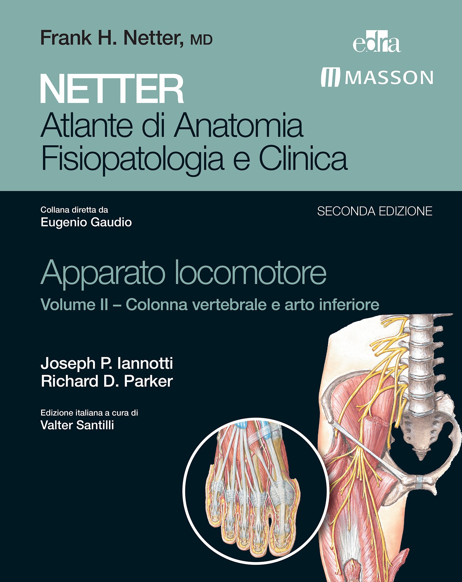 NETTER Atlante di anatomia fisiopatologia e clinica: Apparato Locomotore 2: Colonna Vertebrale e Arto Inferiore (NETTER Atlante di Anatomia Fisiopatologica e Clinica)