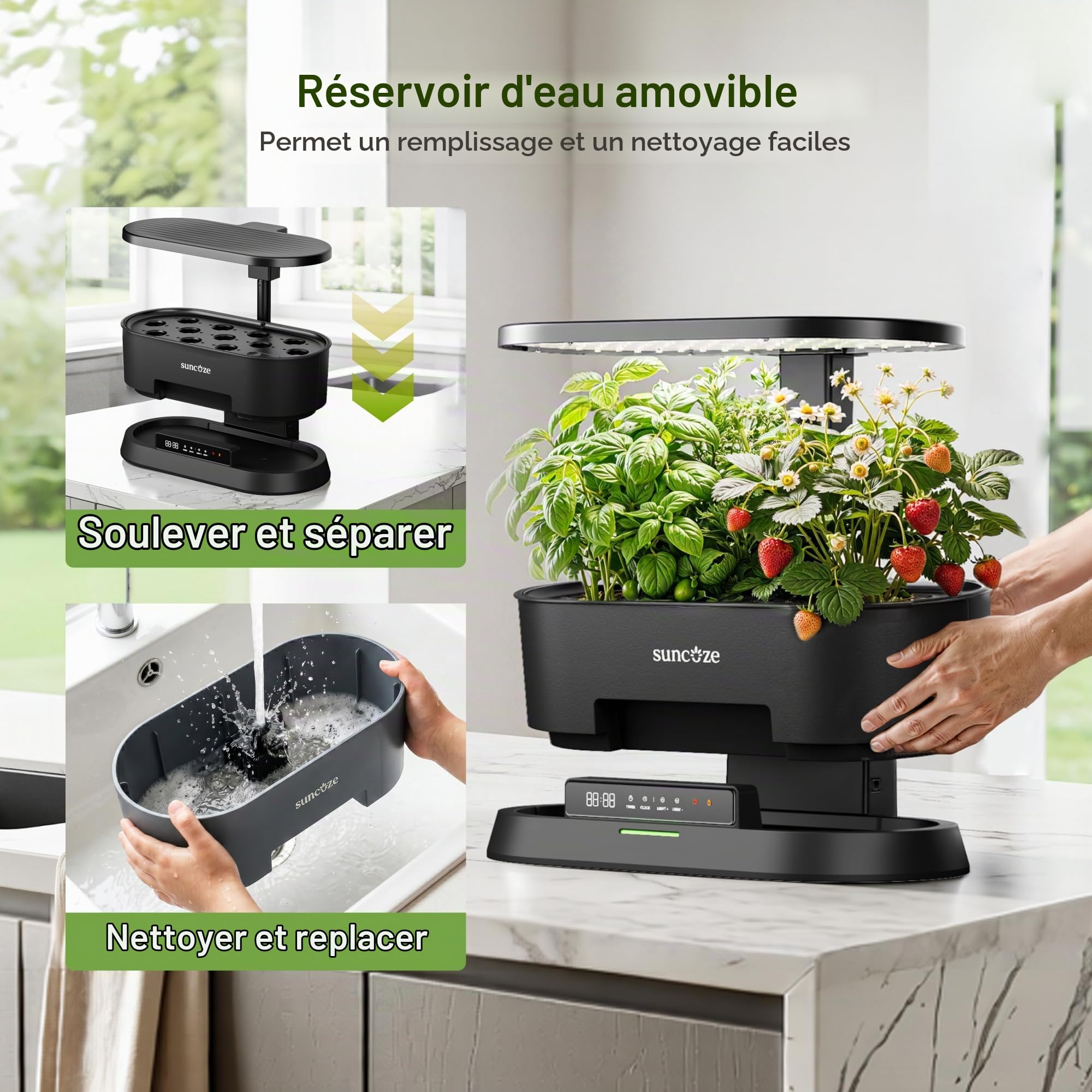 PEGZONE SUNCOZE Potager Hydroponique Amovible avec 12 Paniers, Noir | Jardin d'Intérieur avec Lampe LED 36W, Réservoir 5L, Hauteur Réglable jusqu'à 550 mm, Kit Hydroponique avec Minuterie