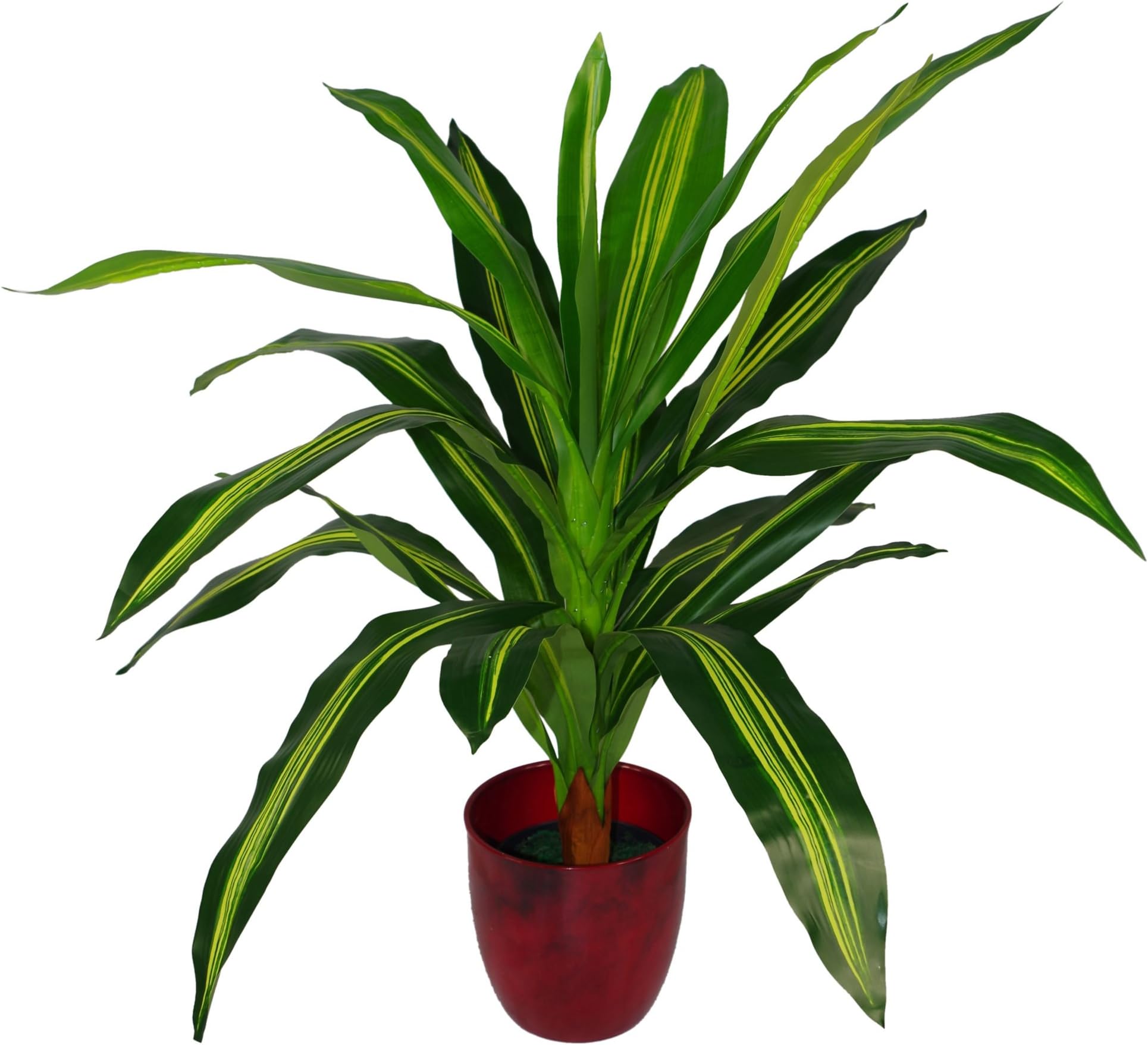 Leaf LEAF-7074 90cm Dracaena Large Green Artificial Dragon Plant Tree, Pot - Plastic, Variegated
