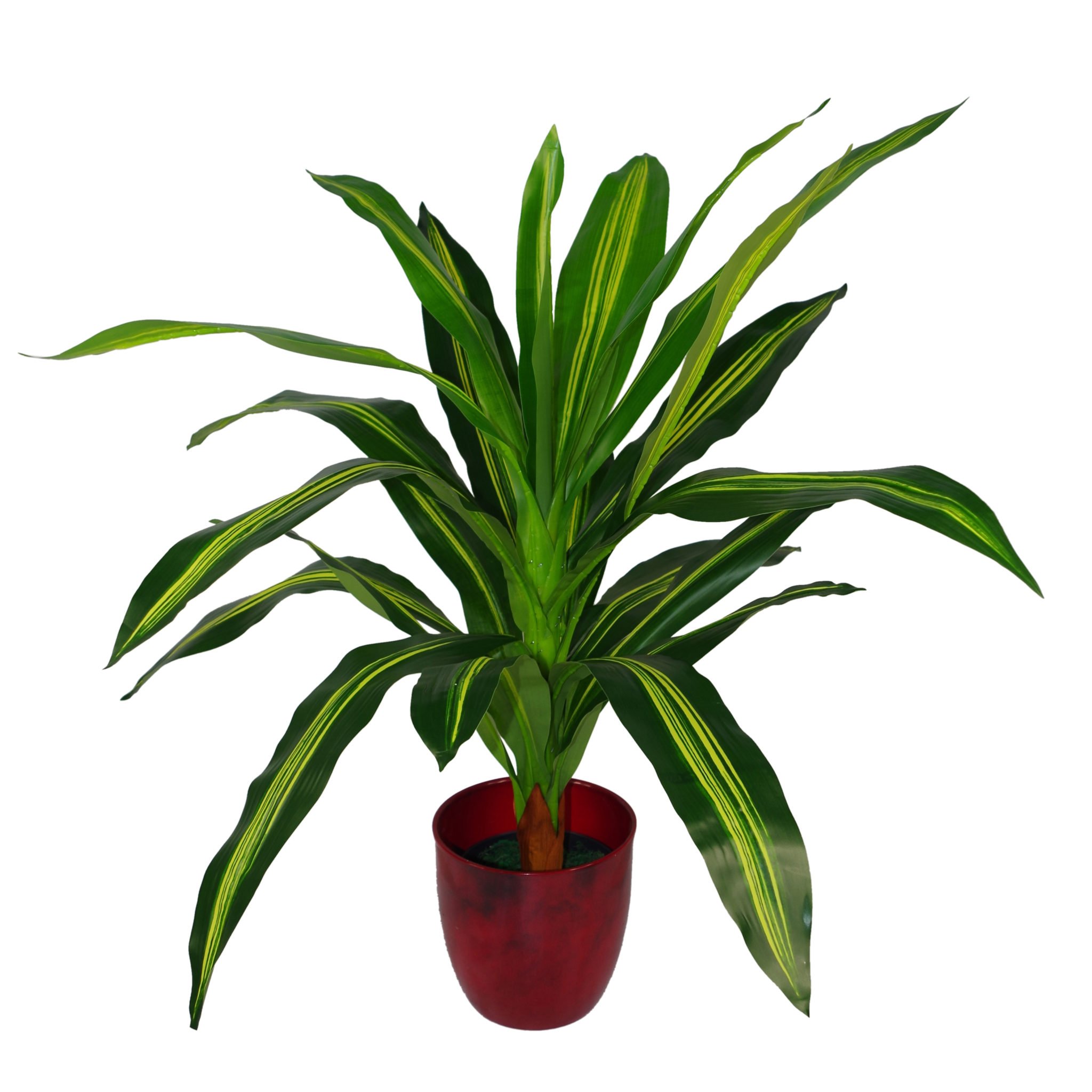 Leaf LEAF-7074 90cm Dracaena Large Green Artificial Dragon Plant Tree, Pot - Plastic, Variegated