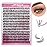Individual Lashes Large Tray D Curl Lash Clusters 10D 20D 30D 40D Individual Lash Extensions Cluster Lashes Lash Extension Supplies Eyelash Clusters (20D-0.07D, 14mm)