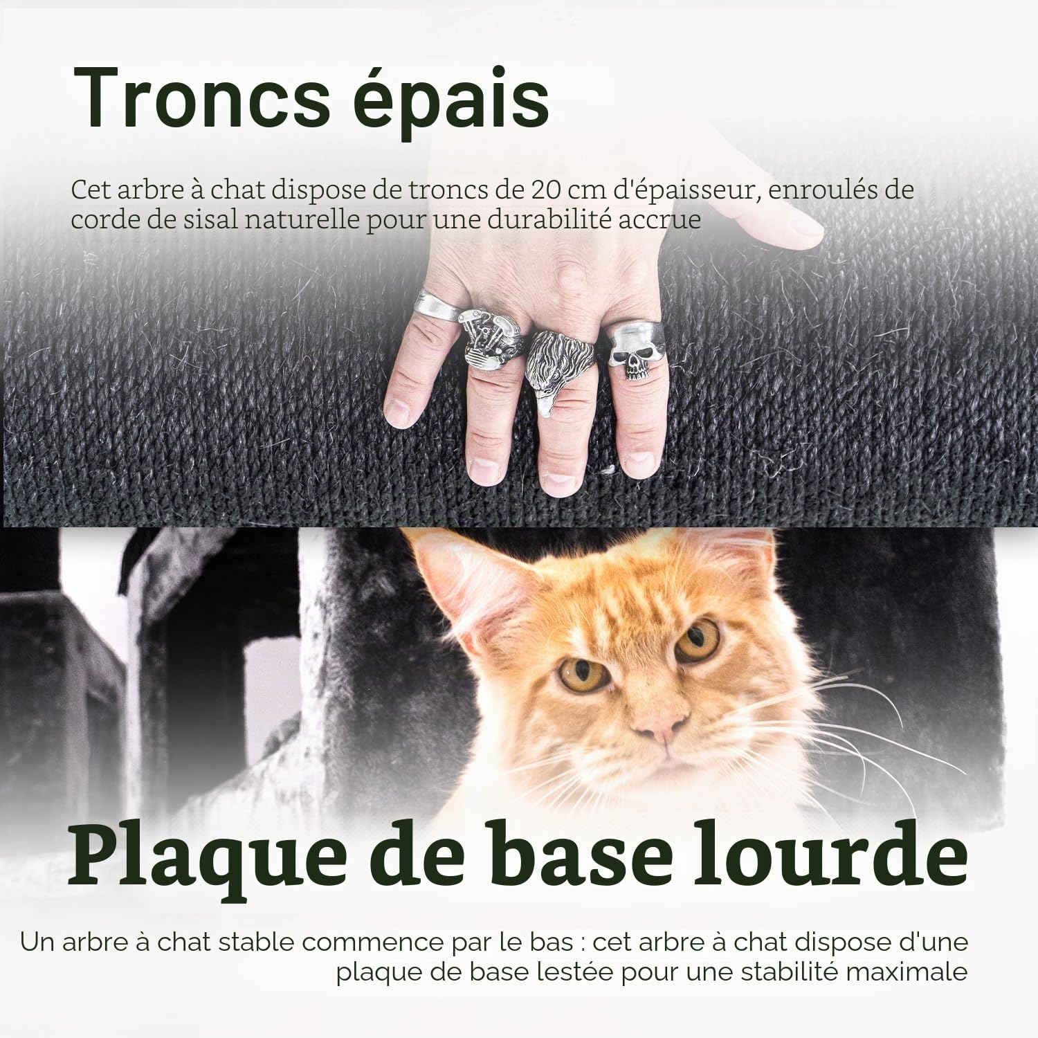 Petrebels Maine Coon Arbre à chat XXL de 2 mètres de haut, arbre à chat pour grands chats, extra stable pour plusieurs chats, 2 hamacs, 2 grottes pour chat, Sibérie 200, arbre d'escalade épais de 20