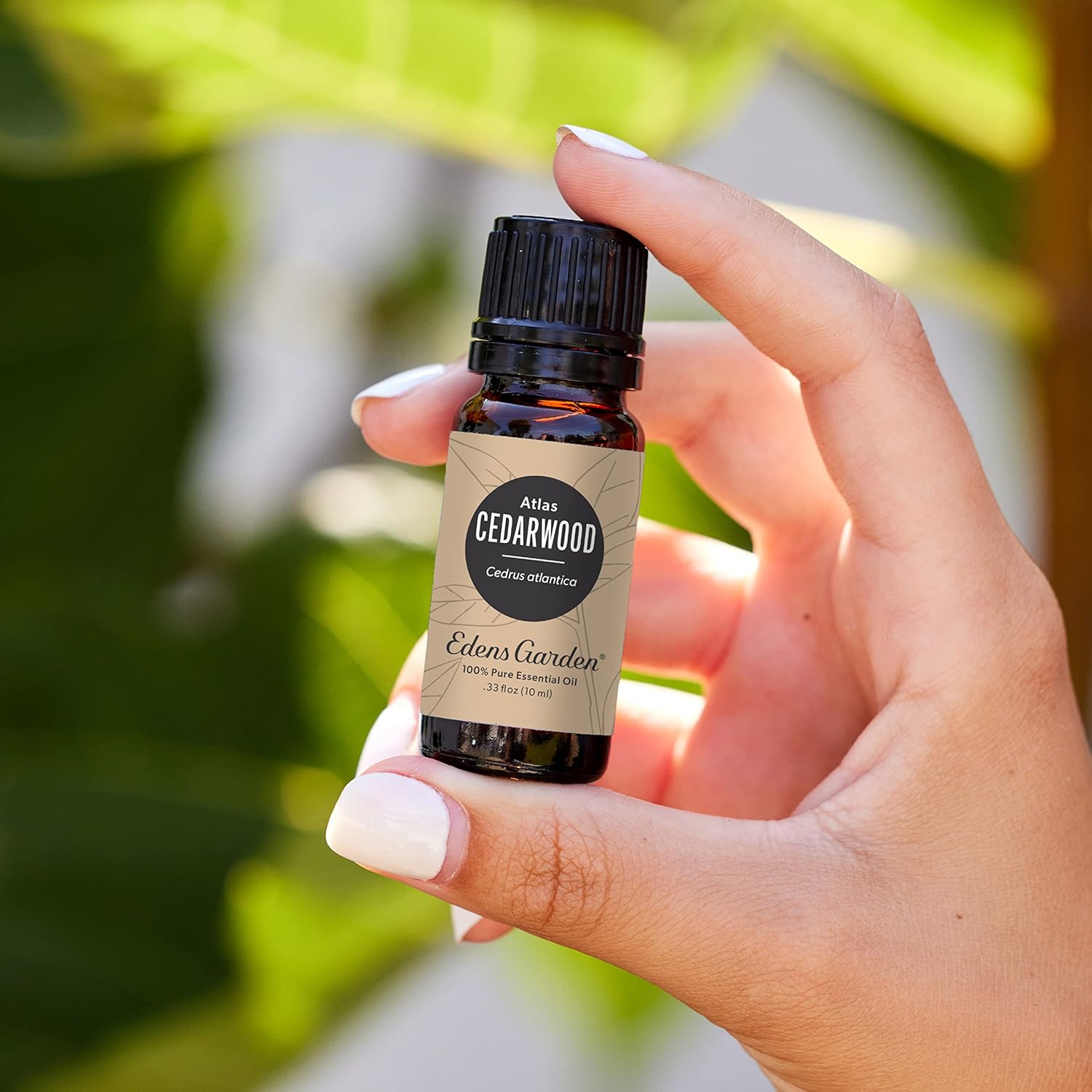 Edens Garden Cedarwood- Atlas Essential Oil- 100% Pure Premium Grade, Undiluted, Natural, Therapeutic, Aromatherapy, The Best for Diffuser, Candle, Laundry, Hair 10 ml (.33 fl oz) - Image 2