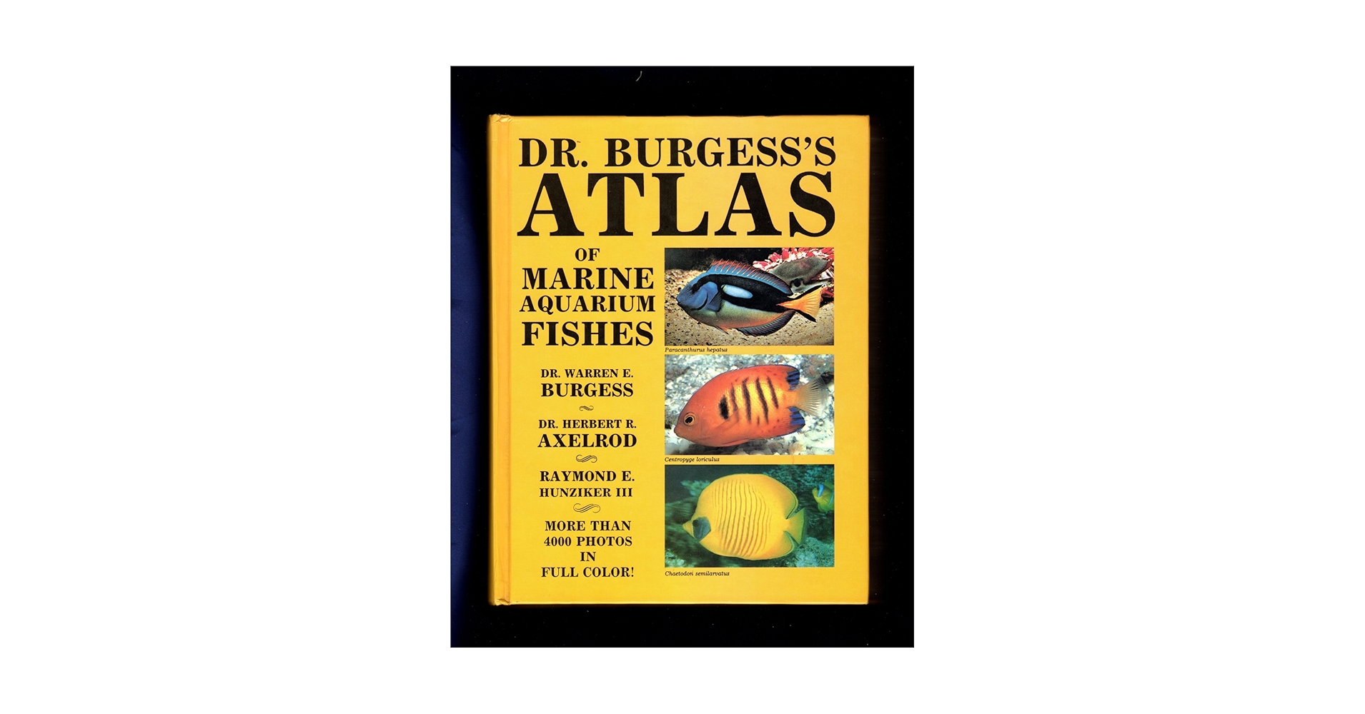 81F3IpNuUwL.jpg_BO30,255,255,