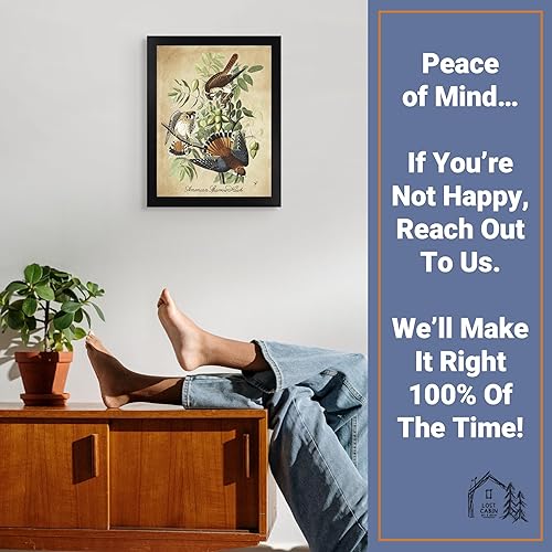 Vista 62 de Towee Bunting by James Audubon - Marco biselado negro de 12 x 16 pulgadas, decoración artística enmarcada para pared, reproducción de pinturas