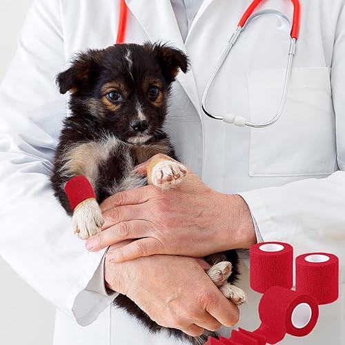 Miniatura 5 de BQTQ 60 rollos de vendaje autoadhesivo de 2 pulgadas, vendajes autoadhesivos para heridas, vendaje elástico para esguinces de hinchazón de muñeca y
