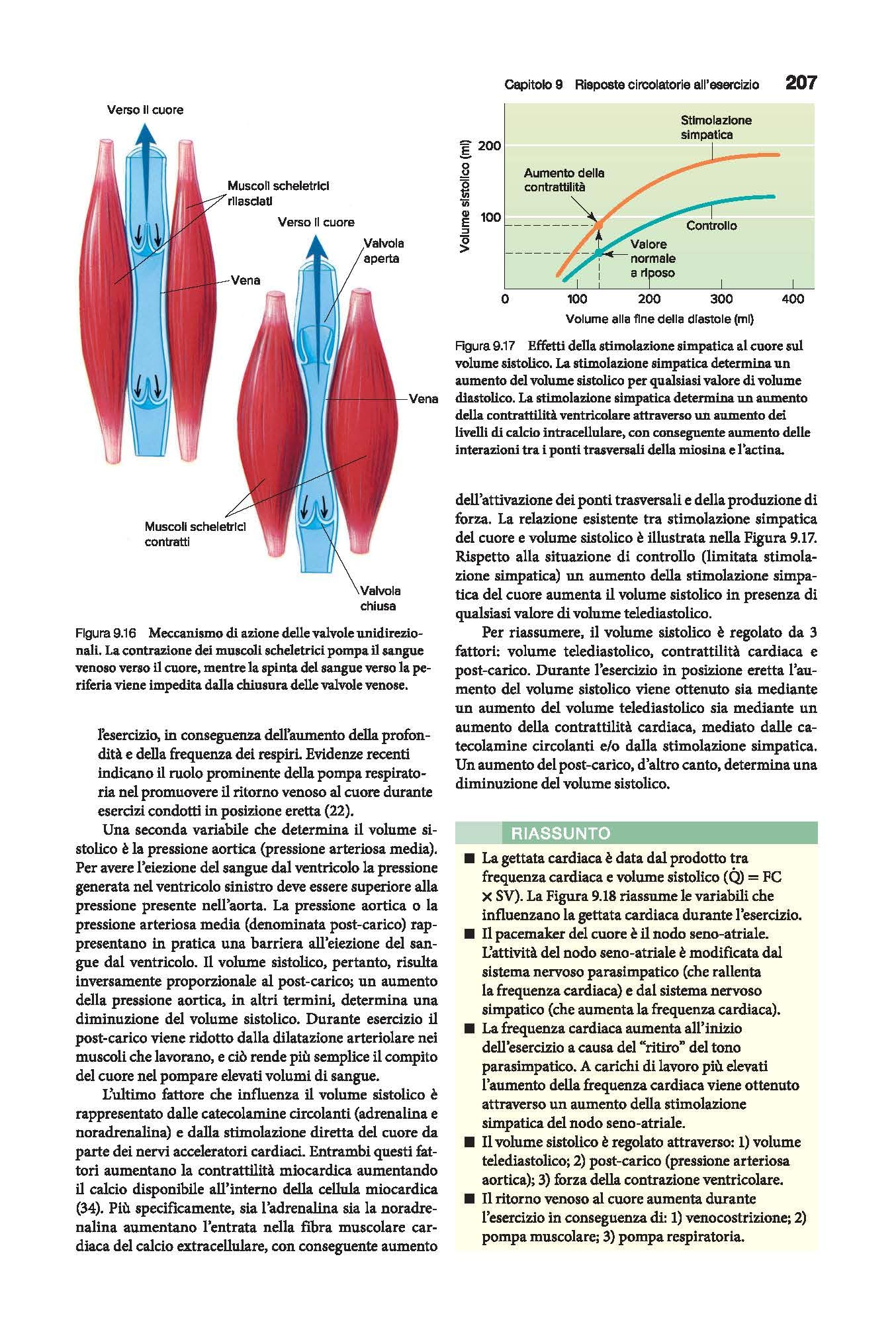 Fisiologia dell'esercizio. Teoria e pratica per forma fisica e performance