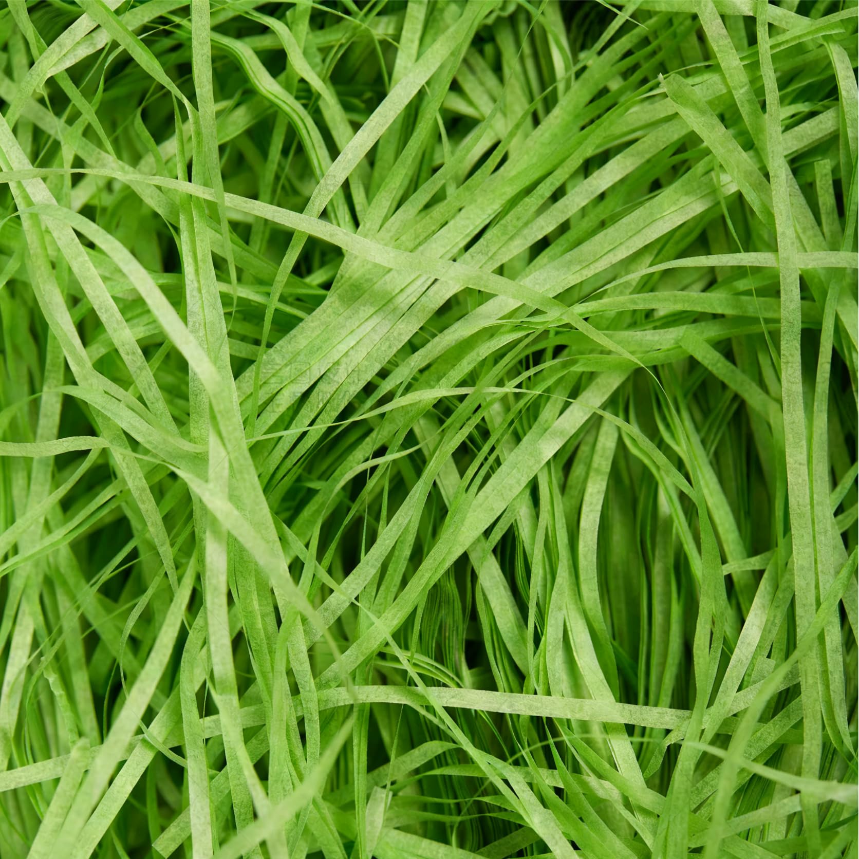 Green Shredded Tissue Paper 100g - Soft Easter Grass and Gift Box Filling for Hampers, Gift Boxes, Baskets, Christmas, Birthdays and Craft Decorations