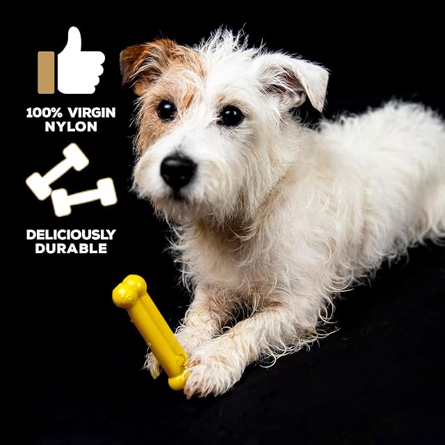 Foto 3 de 7 de Tasty Bone - Juguete para Perro