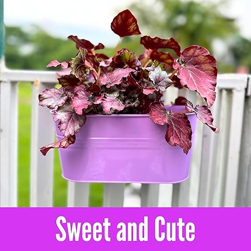 Miniatura 6 de LaLaGreen - Maceta colgante para exteriores (11.2 pulgadas, paquete de 6) rosa claro, morado claro, turquesa, rosa neón, amarillo, naranja, caja de
